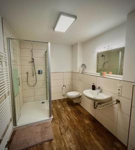 a bathroom with a shower and a toilet and a sink at Steinfelderhof in Kröv +21 photos