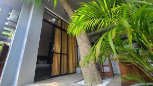 a house with a palm tree in front of a door at Ametz Politak in Weligama