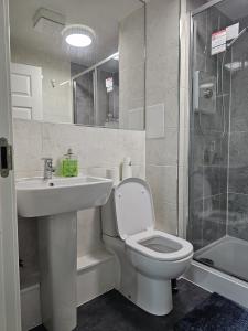 a bathroom with a toilet and a sink and a shower at Stylish 2-Bed Flat with Open-Plan Living plus Parking in Edinburgh +10 photos