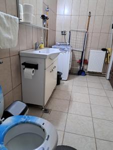 une salle de bains avec toilettes et lavabo dans l'établissement Apartament,4 paturi, 2 dormitoare,Living cu bucatarie, à Sibiu