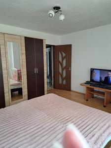 une chambre avec un lit et une télévision à écran plat dans l'établissement Apartament,4 paturi, 2 dormitoare,Living cu bucatarie, à Sibiu
