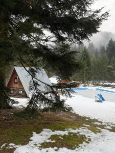 Phong cảnh thiên nhiên gần resort