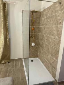 a shower with a glass door in a bathroom at Spa Sola in Mecquignies +4 photos