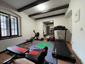 Resort U Jelena في كريفوكلات: صالة ألعاب رياضية مع أجهزةالجري والتمرين في الغرفة