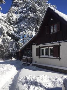 a house covered in snow with trees in the background at Planinska kucica Srce in Zlatibor +24 photos