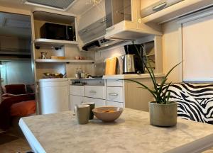 Una cocina con una mesa con una planta encima. en Luxe caravan met rust, ruimte en uitzicht, en Saint-Sulpice-dʼExcideuil 16 fotos más