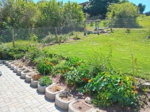 a row of plants in a garden at Zebra Crossing in Bushmans River Village +2 photos