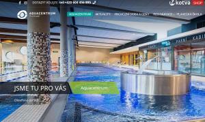 Bazén v ubytování Chalupa v Roprachticích u Vysokého nad Jizerou nebo v jeho okolí