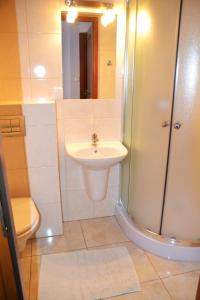 a bathroom with a sink and a shower and a toilet at Biesiada in Czarna Góra