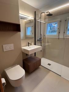Un baño con lavabo, inodoro y ducha. en Renovated-Spacious apartment up to 6 people in Flims, en Flims 18 fotos más