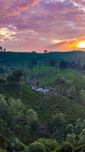 Naturlandskabet i nærheden af vandrehjemmet