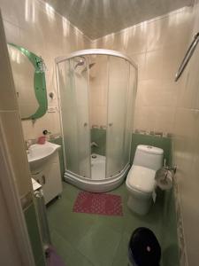 a bathroom with a shower and a toilet and a sink at Doctor's House in Gyumri