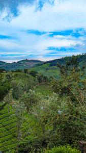 Příroda nedaleko hostelu