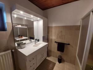 a bathroom with a sink and a mirror at Gîte "EN VALROMEY" au pied du Grand Colombier in Munet