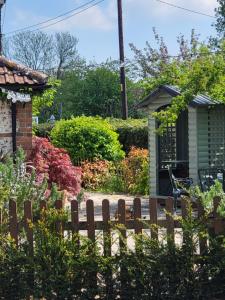 a garden with a wooden fence and flowers at Escape the Ordinary in Piddletrenthide +65 photos