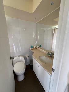 een badkamer met een toilet, een wastafel en een spiegel bij Cómodo Depto en bosques de la candelaria in Algarrobo +9 foto's