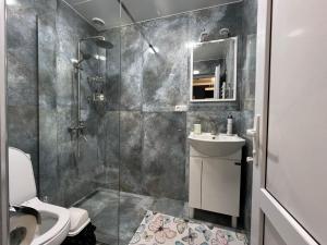 a bathroom with a shower and a toilet and a sink at Hotel in Yerevan in Yerevan
