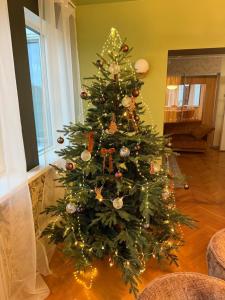 a christmas tree in a living room at Jakobsoni 1937 in Viljandi