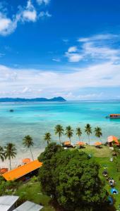 Panglima Resort Semporna في سيمبورنا: اطلالة على شاطئ به نخل والمحيط