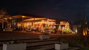 a building decorated with christmas trees and lights at night at Apartment S in Kalsdorf bei Graz