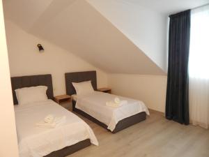 a bedroom with two beds and a window at Pensiunea Ramedal in Calafat +21 photos
