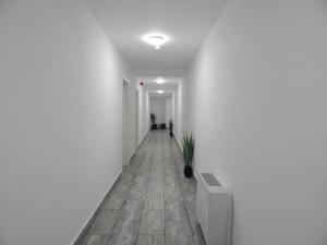 Billede fra billedgalleriet på Pensiunea Ramedal i Calafat