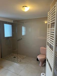 Maison indépendante في موجيو: حمام مع مرحاض ودش زجاجي