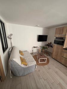 Una sala de estar con un sofá y un televisor. en La Longeret du Bouchet Mont Charvin, en Le Bouchet-Mont Charvin