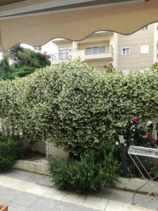 um grande arbusto de flores em frente a um edifício em Corner Studios em Perea
