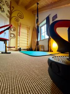 una habitación con un gimnasio con una tabla de surf en el suelo en LaDolceVita im Tiroler Holzhaus, en Bad Elster