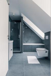Un baño con inodoro, ducha y lavabo. en Moderne 2 Zimmer Wohnung im Herzen von Karlsruhe 64m2 2 OG, en Karlsruhe