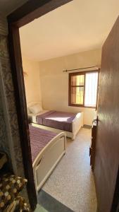 Un dormitorio con dos camas y una ventana. en Gypsy Surf Maroc Hostel, en Tamraght Ouzdar