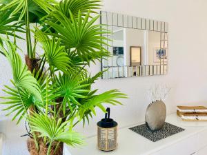 Φωτογραφία από το άλμπουμ του Excellence Suites Orient Beach Oceanview King-Size Beach Pool Parking σε Cul de Sac