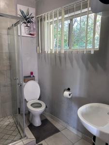 a bathroom with a toilet and a sink at Cozy pool side cottage in Roodepoort +6 photos