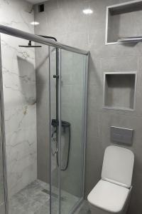 a shower with a toilet and a glass shower stall at Mirabello in Itʼkhvisi