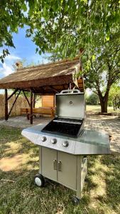 a barbecue grill sitting in the grass next to a pavilion at Rustic Harmony in Abádszalók +12 photos