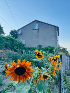 Κήπος έξω από το Maison traditionnelle avec vues sur St Michel