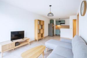 ein Wohnzimmer mit Sofa und Fernseher in der Unterkunft Appartement avec balcon parking Alès centre in Alès