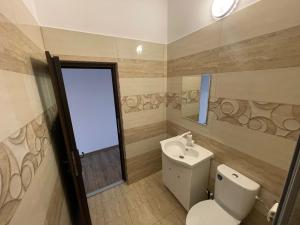 een badkamer met toilet en wastafel bij Regim parc in Craiova