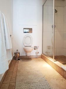 Cape Town CBD Pool Near CTICC Parliament Waterfront في كيب تاون: حمام مع مرحاض ودش زجاجي