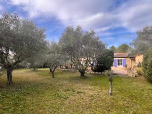 Κήπος έξω από το Villa Nans