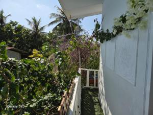 a white fence with plants on the side of a house at Fehivilla Residence in Dhangethi