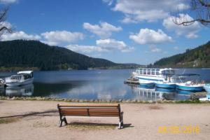 un banco sentado junto a un cuerpo de agua con barcos en Spacious apartment close to skiing and nature !, en Rochesson