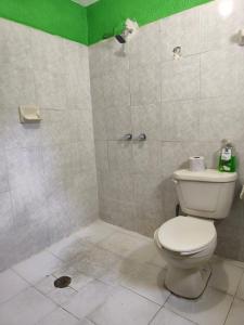 a bathroom with a toilet and a green wall at Casa confortable cerca de FORUM in Coatzacoalcos +1 photo