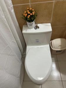 Habitación Doble Twin في ليون: مرحاض أبيض مع وعاء زهور فوقه