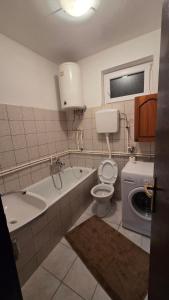 a bathroom with a toilet and a sink and a washing machine at Vikendica Miki 2 in Bratunac