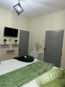 Μια τηλεόραση ή/και κέντρο ψυχαγωγίας στο Stylish Escape at Angella Mansions, Stony Hill