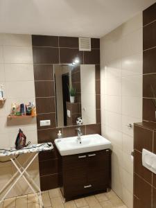 Noclegi Dys في Dys: حمام مزود بحوض ومِرآة