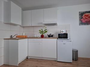 Køkken eller tekøkken på Apartma Dividenda