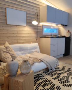 Villa Louhikko - Aavasaksa, Lapland في Aavasaksa: غرفة معيشة مع سرير وتلفزيون